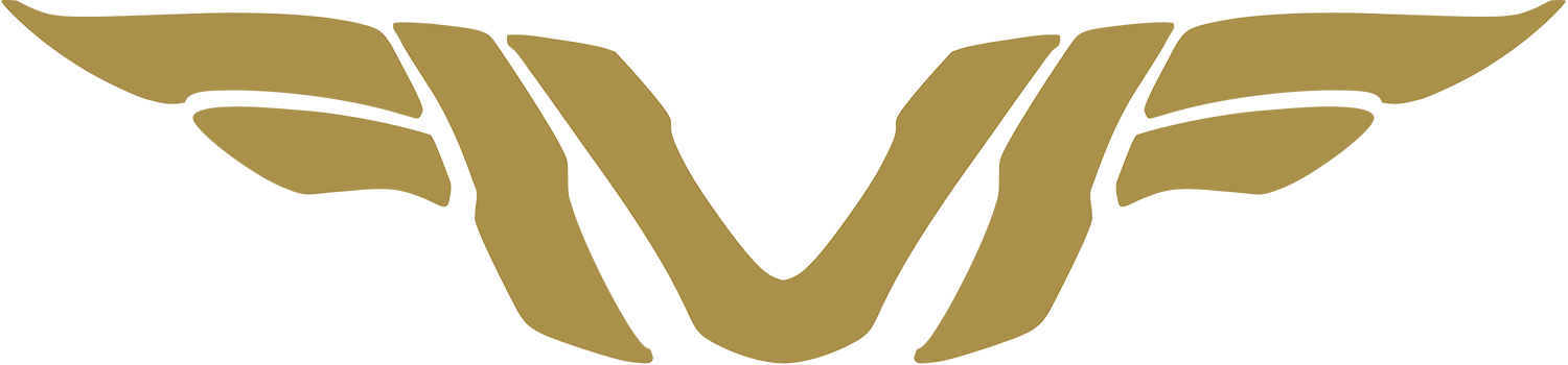 MVF ▷ Construcción y Mantenimiento de Vías Férreas